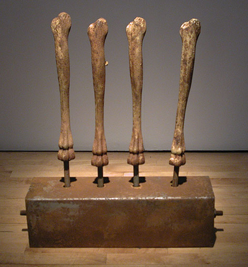 Declawed (Ghost Limbs)